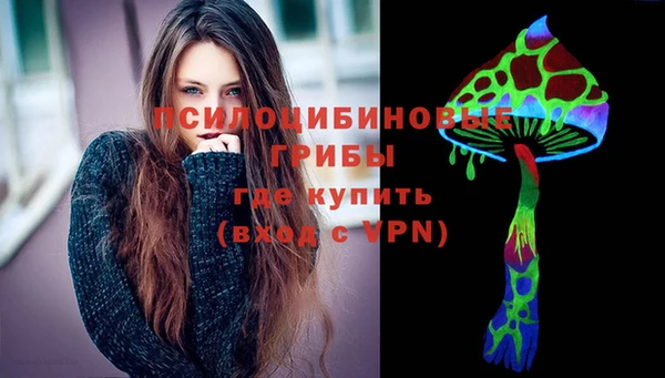 шишки Горняк